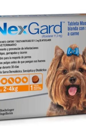 NEXGARD 2-4 KG