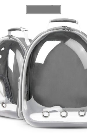 Morral transparente de lona gris