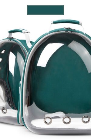 Morral transparente de lona verde