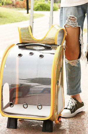 Morral transparente Sirena con ruedas amarillo