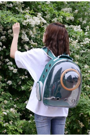 Morral transparente con cápsula verde